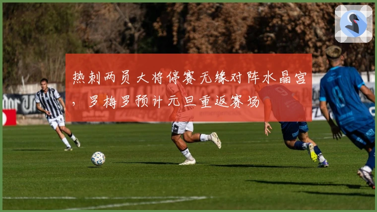 热刺两员大将停赛无缘对阵水晶宫，罗梅罗预计元旦重返赛场
